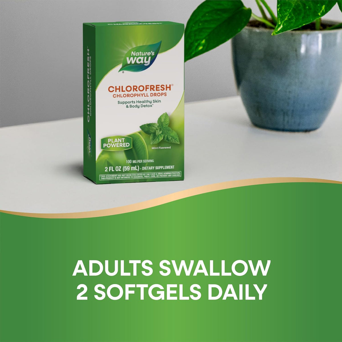 Nature's Way Chlorofresh Chlorophyll Drops (Concentrated)